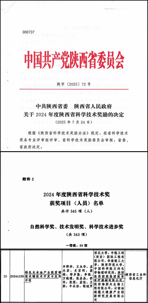 光影魔術手拼圖.jpg